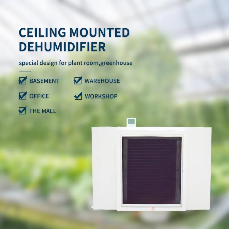 Large 480L Air Dehumidifier fo - Air Compressor ulasan dan harga
